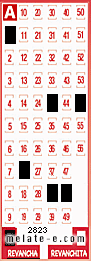 Volante ganador del sorteo 2823 de Revancha