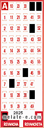 Volante ganador del sorteo 2825 de Revancha
