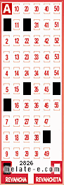 Volante ganador del sorteo 2826 de Revancha