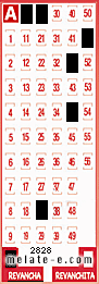Volante ganador del sorteo 2828 de Revancha