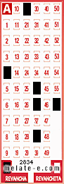 Volante ganador del sorteo 2834 de Revancha