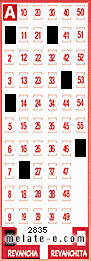 Volante ganador del sorteo 2835 de Revancha
