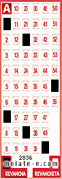 Volante ganador del sorteo 2836 de Revancha