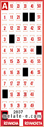 Volante ganador del sorteo 2837 de Revancha