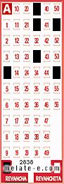 Volante ganador del sorteo 2838 de Revancha
