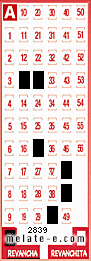 Volante ganador del sorteo 2839 de Revancha