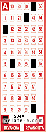Volante ganador del sorteo 2840 de Revancha
