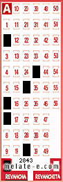Volante ganador del sorteo 2843 de Revancha
