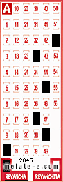 Volante ganador del sorteo 2845 de Revancha