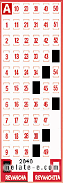 Volante ganador del sorteo 2848 de Revancha