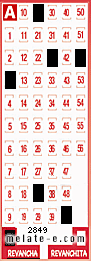 Volante ganador del sorteo 2849 de Revancha