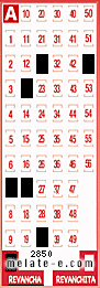Volante ganador del sorteo 2850 de Revancha