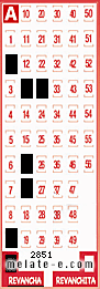 Volante ganador del sorteo 2851 de Revancha
