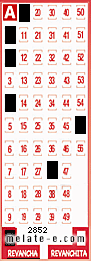 Volante ganador del sorteo 2852 de Revancha