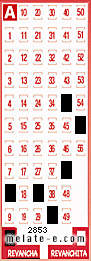 Volante ganador del sorteo 2853 de Revancha