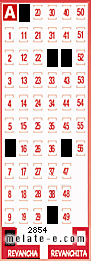 Volante ganador del sorteo 2854 de Revancha
