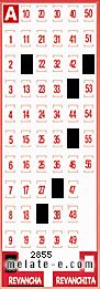 Volante ganador del sorteo 2855 de Revancha