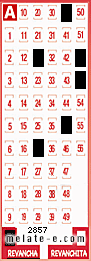 Volante ganador del sorteo 2857 de Revancha