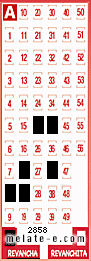 Volante ganador del sorteo 2858 de Revancha