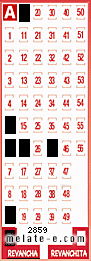Volante ganador del sorteo 2859 de Revancha
