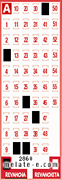 Volante ganador del sorteo 2860 de Revancha