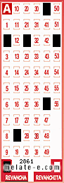 Volante ganador del sorteo 2861 de Revancha