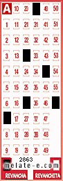 Volante ganador del sorteo 2863 de Revancha