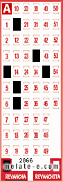 Volante ganador del sorteo 2866 de Revancha