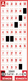 Volante ganador del sorteo 2868 de Revancha