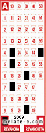 Volante ganador del sorteo 2869 de Revancha