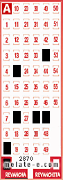 Volante ganador del sorteo 2870 de Revancha