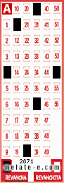 Volante ganador del sorteo 2871 de Revancha