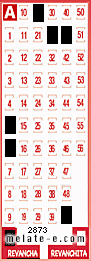 Volante ganador del sorteo 2873 de Revancha