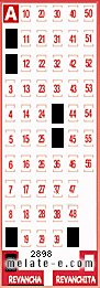 Volante ganador del sorteo de Revancha con fecha del domingo  13 de septiembre de 2015