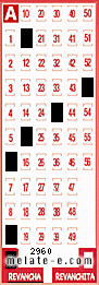 Volante ganador del sorteo 2960 de Revancha