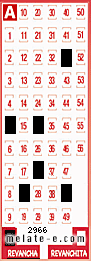 Volante ganador del sorteo 2966 de Revancha
