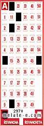 Volante ganador del sorteo de Revancha con fecha del domingo  22 de mayo de 2016