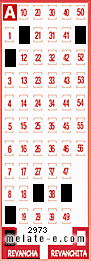 Volante ganador del sorteo 2973 de Revancha