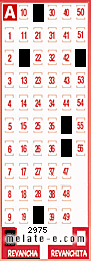 Volante ganador del sorteo 2975 de Revancha