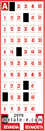 Volante ganador del sorteo 2979 de Revancha