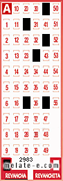 Volante ganador del sorteo 2983 de Revancha