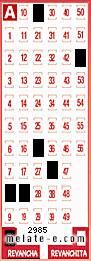 Volante ganador del sorteo 2985 de Revancha