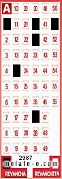 Volante ganador del sorteo 2987 de Revancha