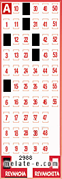 Volante ganador del sorteo 2988 de Revancha