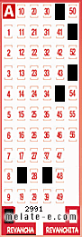 Volante ganador del sorteo 2991 de Revancha