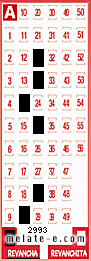 Volante ganador del sorteo 2993 de Revancha