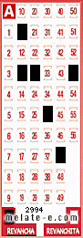 Volante ganador del sorteo 2994 de Revancha