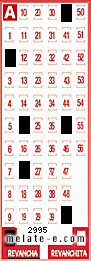 Volante ganador del sorteo 2995 de Revancha