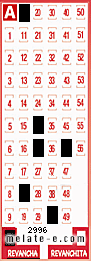 Volante ganador del sorteo 2996 de Revancha