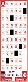 Volante ganador del sorteo 2997 de Revancha